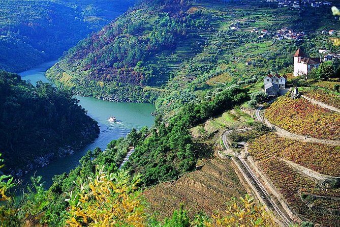 Private Douro Valley Wine Tour: 2 Wine Estates, Lunch and Cruise - Who Is This Tour Best For?