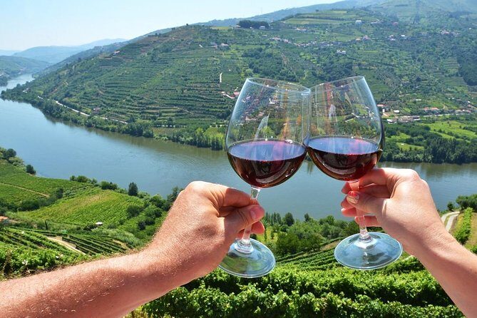 Private Douro Valley Wine Tour: 2 Wine Estates, Lunch and Cruise - Wrapping It Up