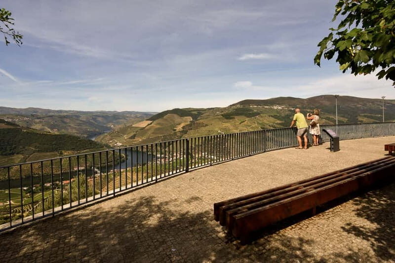 Private Douro Wine Experience - Full Day in the Douro Valley - Exploring the Details of the Douro Wine Experience