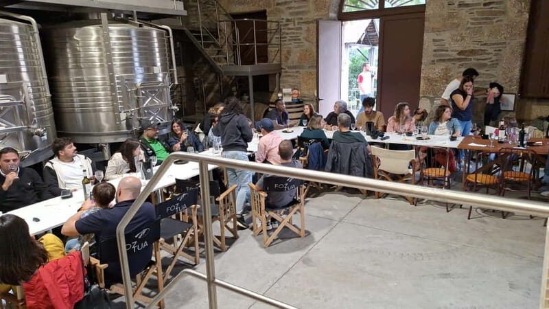 Private Douro Wine Experience - Full Day in the Douro Valley - Summary: Is This Tour Right for You?