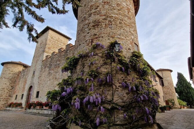 Private driver Florence Wine Tour countryside of Tuscany 7 hours - What’s Included & What’s Not