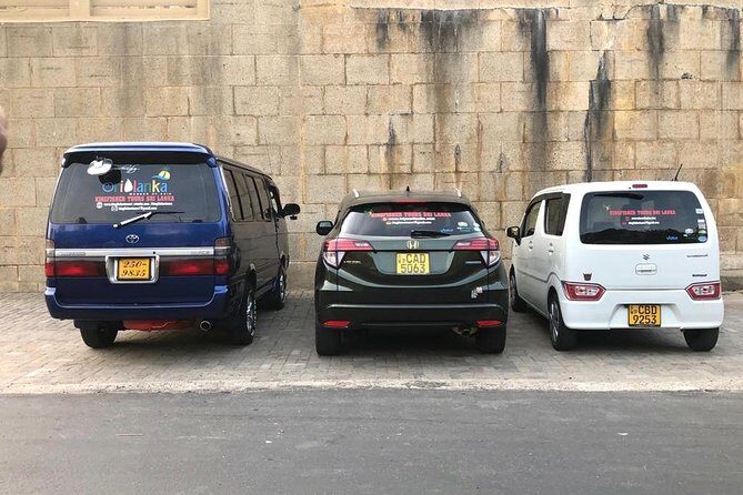 Private Driver for 14 days in Sri Lanka - Who Is This Tour Best For?