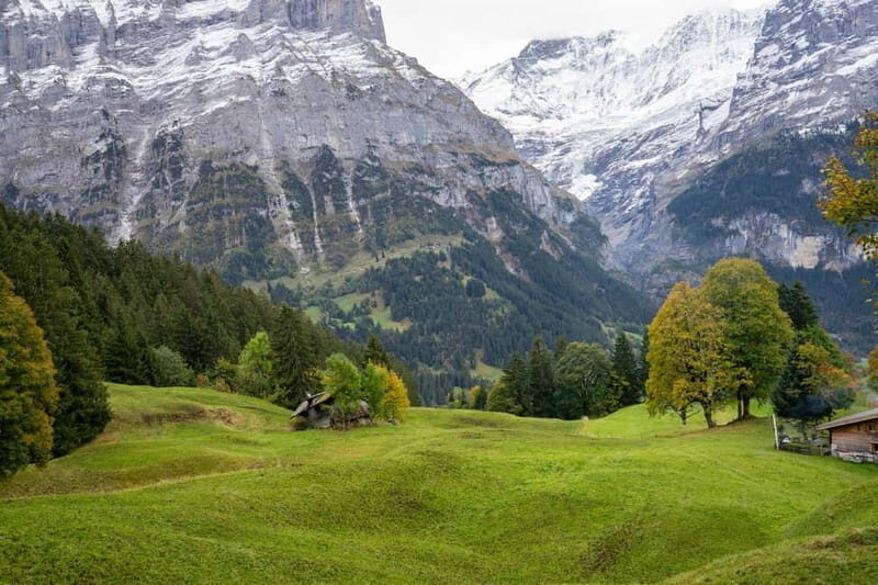 Private driver for tour from Zurich to Jungfraujoch and back - Final Thoughts