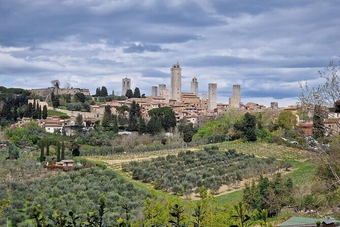 Private driver from Florence: Siena, San Gimignano, Pisa 12 hours - Final Thoughts