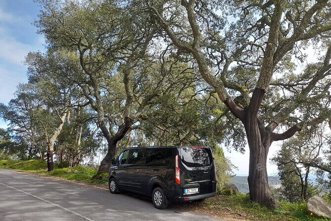 Private Driver From Lisbon to Algarve By 8 Seats Minibus - Detailed Review of the Lisbon to Algarve Private Transfer