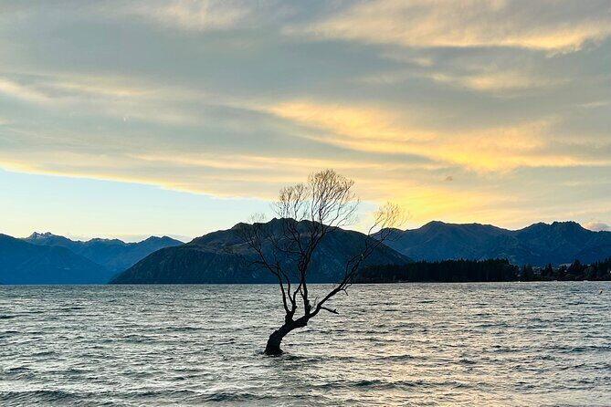 Private Driver Hire  Full-Day Touring-Auckland/Rotorua/Hamilton - Key Points