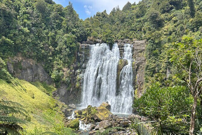 Private Driver Hire  Full-Day Touring-Auckland/Rotorua/Hamilton - What the Itinerary Looks Like