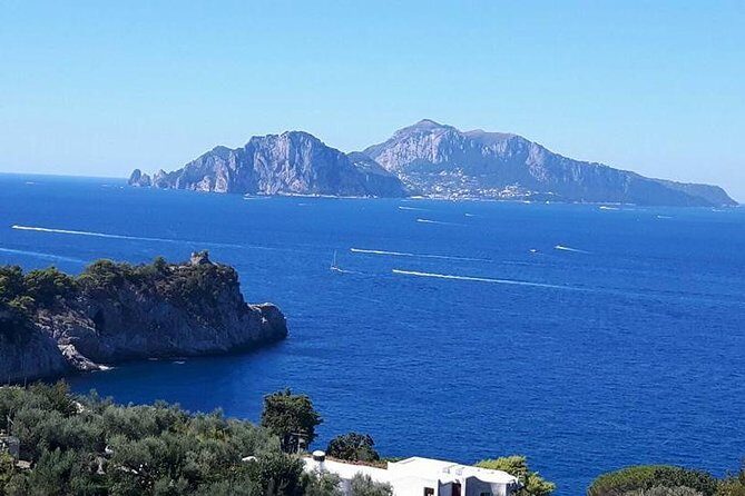 Private Driver VIP Tour of Sorrento & its food delicacies - A Deep Dive into the Experience