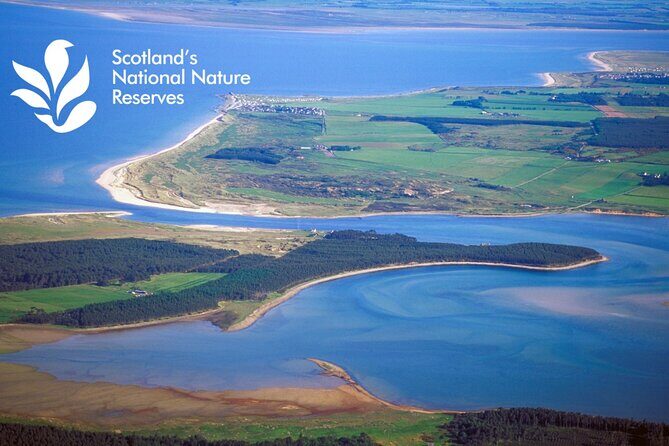 Private Driving tour from Invergordon Port to Dunrobin Castle - A Scenic Private Driving Tour from Invergordon Port to Dunrobin Castle