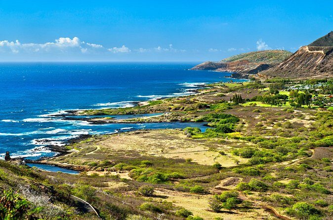 Private Driving Tour of Oahu Scenic South Shore - Why Choose the Private Driving Tour of Oahu’s South Shore?