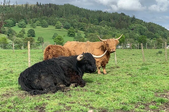 Private Driving Tour to Stirling, Battle Of Banockburn,William Wallace,whisky - FAQ