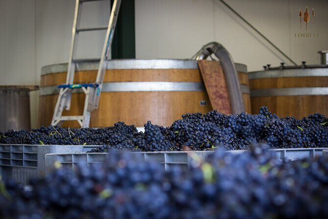 Private Driving Wine Tour (full day) in the Marlborough Region - An In-depth Look at the Marlborough Private Wine Tour