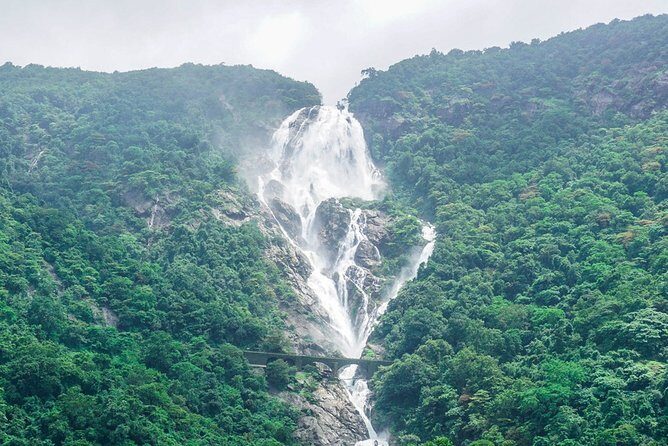 Private Dudhsagar waterfalls & Spice Plantation with Lunch from Mormugao Port - Key Points