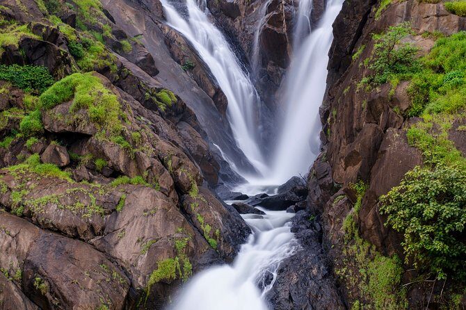 Private Dudhsagar waterfalls & Spice Plantation with Lunch from Mormugao Port - Who Is This Tour Best For?
