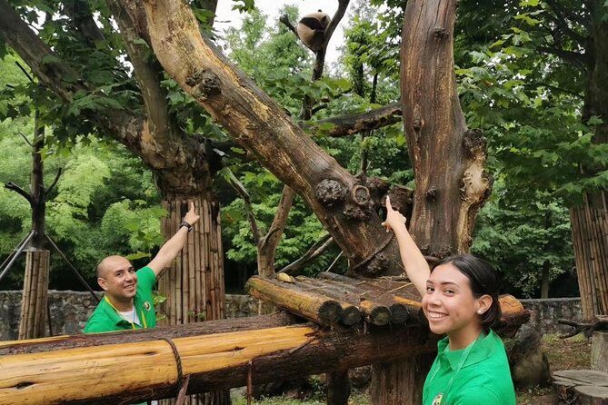 Private Dujiangyan Panda Base Panda Rescue Center Volunteer for a Day - An In-Depth Look at the Tour Experience