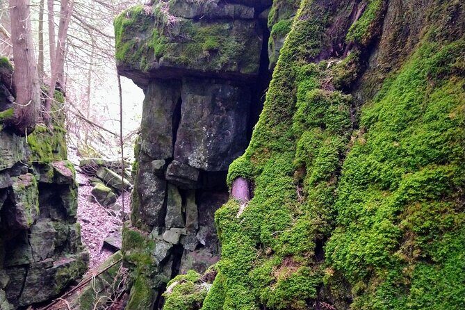 Private Duncan/Metcalfe Caves Hike, Collingwood/Blue Mountain - Who This Tour Is Best For