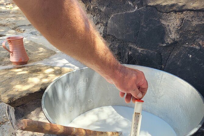 Private E-bike Guided Ode-yssey Uncharted Tour in Naxos - Final Thoughts: Is This Tour for You?