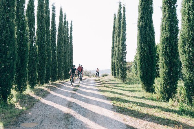 Private E-bike tour in Chianti from Siena - Who Is This Tour Best For?