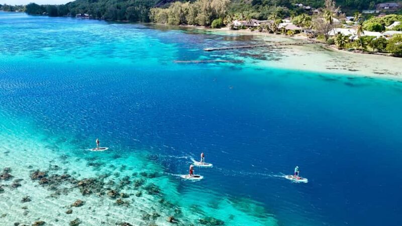 Private E-Board Tour of Moorea Lagoon - Why This Tour Offers Good Value