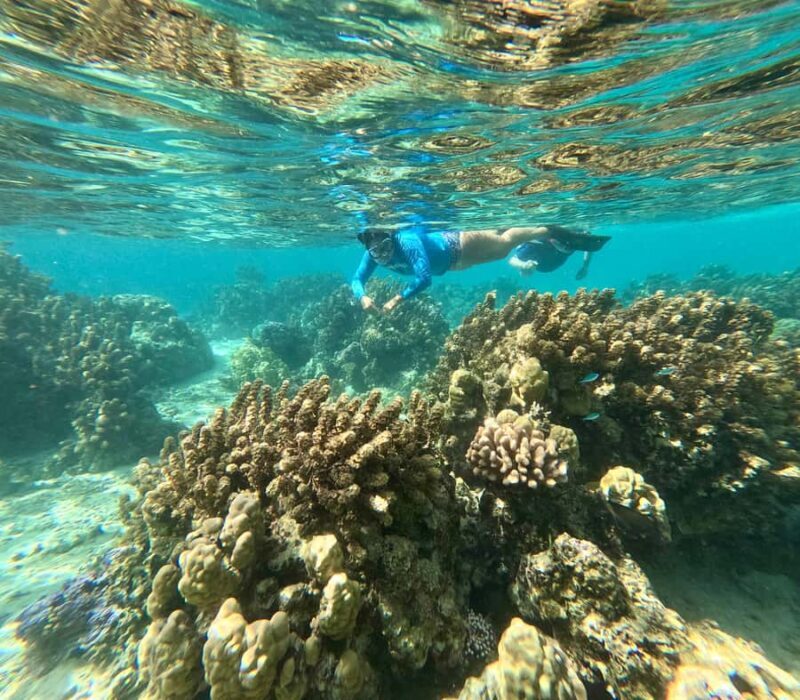 Private E-Board Tour of Moorea Lagoon - Who Should Consider This Tour?
