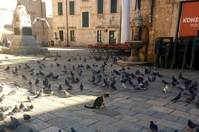 Private Early Morning Dubrovnik Tour - In-Depth Look at the Tour