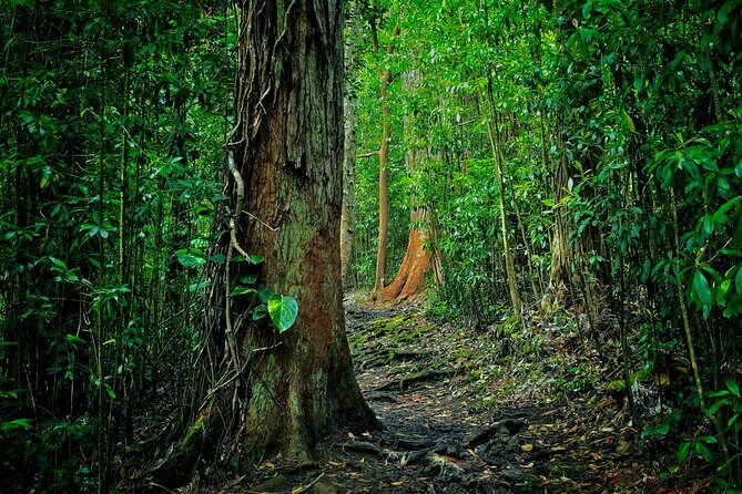 Private East Maui Hiking Experience - Exploring Maui’s Hidden Natural Treasure