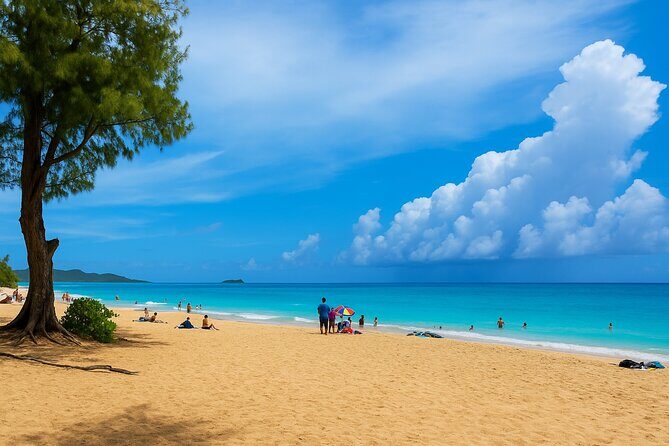 Private East Oahu Highlights Tour Byodo In Temple & Pali Lookout - A Closer Look at the Itinerary