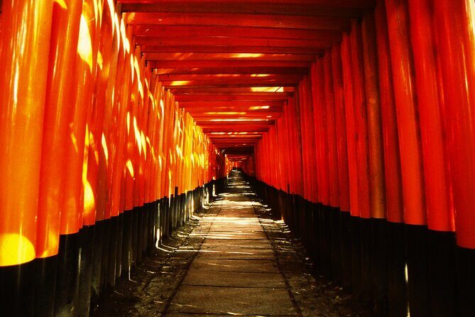 Private eBike Tour Exploring Fushimi with Torii Red Gate Ride - Key Points