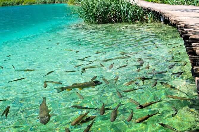 Private eclectic experience of Rastoke and Plitvice Lakes National Park - Who Will Love This Experience?