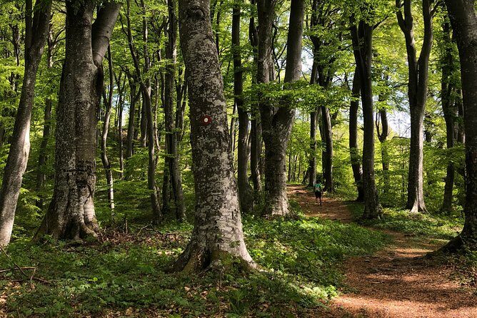 Private eclectic hiking experience of Samobor Hills - Who Should Consider This Tour?