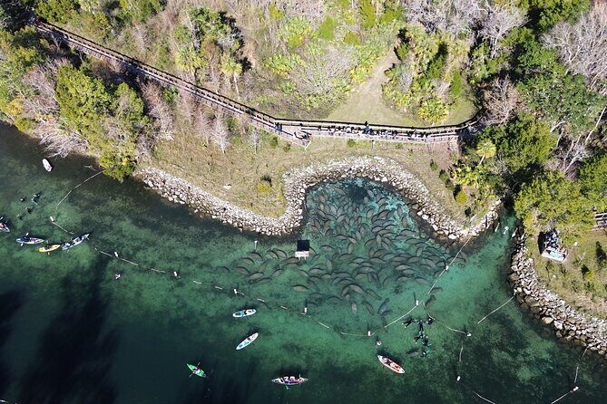 Private Eco Tour in Kings Bay Crystal River Florida - The Value of a Guided Eco Tour