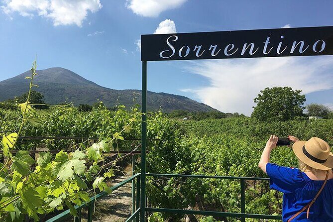 Private Educational Wine Tour, dedicated sommelier and trasport - The Itinerary Breakdown