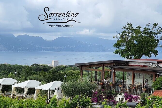 Private Educational Wine Tour, dedicated sommelier and trasport - The Value of This Tour