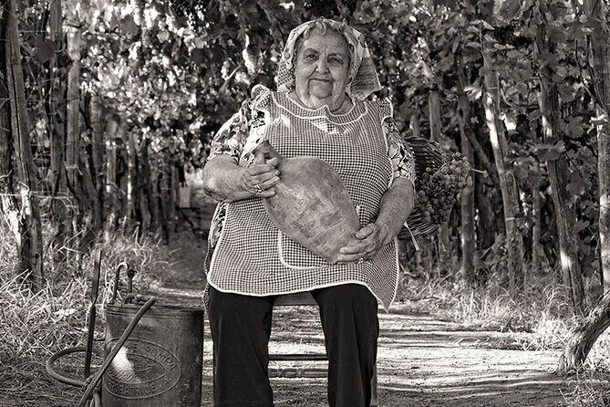 Private Educational Wine Tour, dedicated sommelier and trasport - Authentic Experiences Based on Reviews