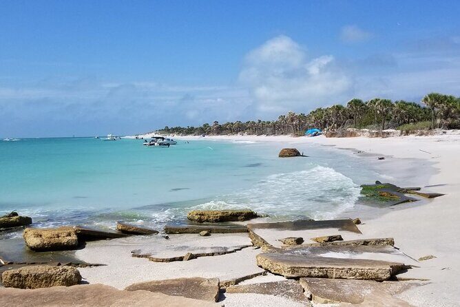 Private Egmont Key Excursion - A Deep Dive into the Egmont Key Private Excursion