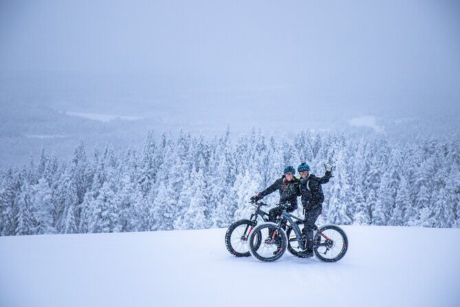 Private Electric Fat Bike Winter Tour in Rovaniemi - A Detailed Look at the Private Electric Fat Bike Winter Tour in Rovaniemi