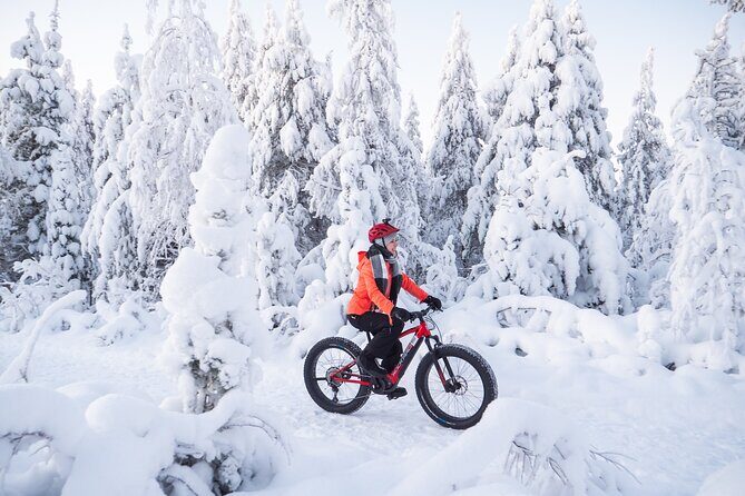 Private Electric Fat Bike Winter Tour in Rovaniemi - Key Points