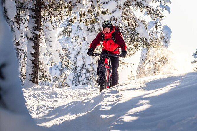 Private Electric Fat Bike Winter Tour in Rovaniemi - Final Thoughts