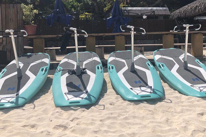 Private Electric Paddle Cruise in Bora Bora - What the Reviews Tell Us