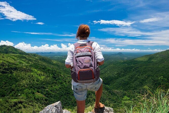 Private Ella Tour from Galle and Weligama with Meals Included - A Deep Dive into the Ella Tour Experience