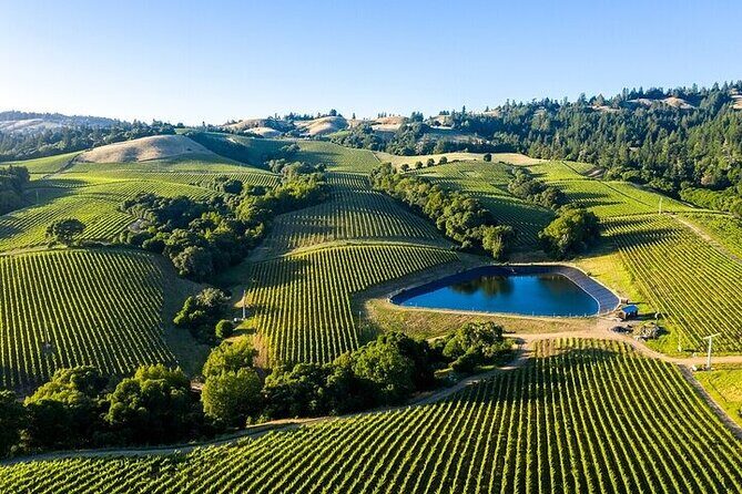 Private Enchanted Napa & Sonoma Wine Tour from Cupertino - Key Points