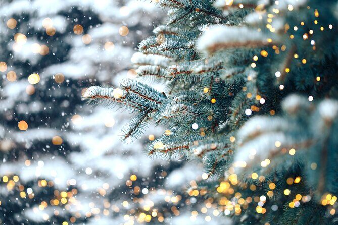 Private Enchanting Nashville Christmas Lights Tour - Practical Details to Consider
