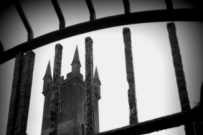 Private Ennis Dark History Tour with Dr Jane O'Brien (1-6 people) - Who Should Consider This Tour?