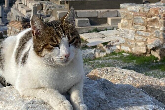 Private Ephesus and Artemis Temple Half Day Tour / On Time Return - FAQ