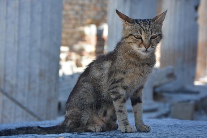 Private Ephesus Shore Excursion - FAQs