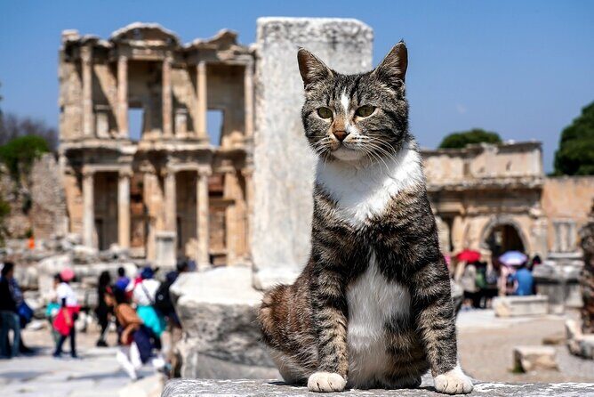 Private Ephesus Tour from Kusadasi - In-Depth Look at the Itinerary