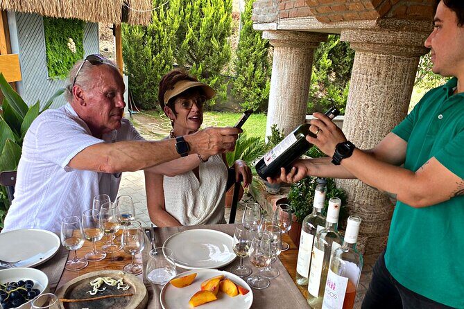 Private Ephesus Tour & Wine Tasting & Mediterrranean Lunch - Frequently Asked Questions (FAQs)
