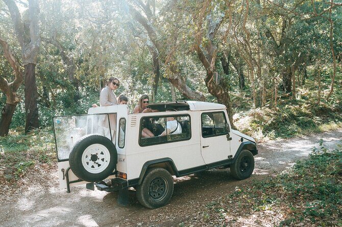 Private Epic Off-Road Adrenaline in Sintra - Final Thoughts: Who Should Consider This Tour?