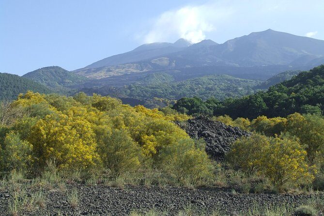 Private Etna tour from Messina Cruise Terminal+ Lunch at Winery - Who Should Book This Tour?