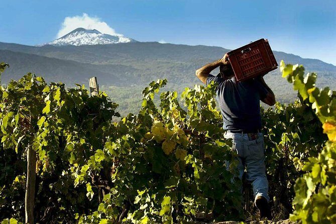 Private Etna tour from Messina Cruise Terminal+ Lunch at Winery - FAQ